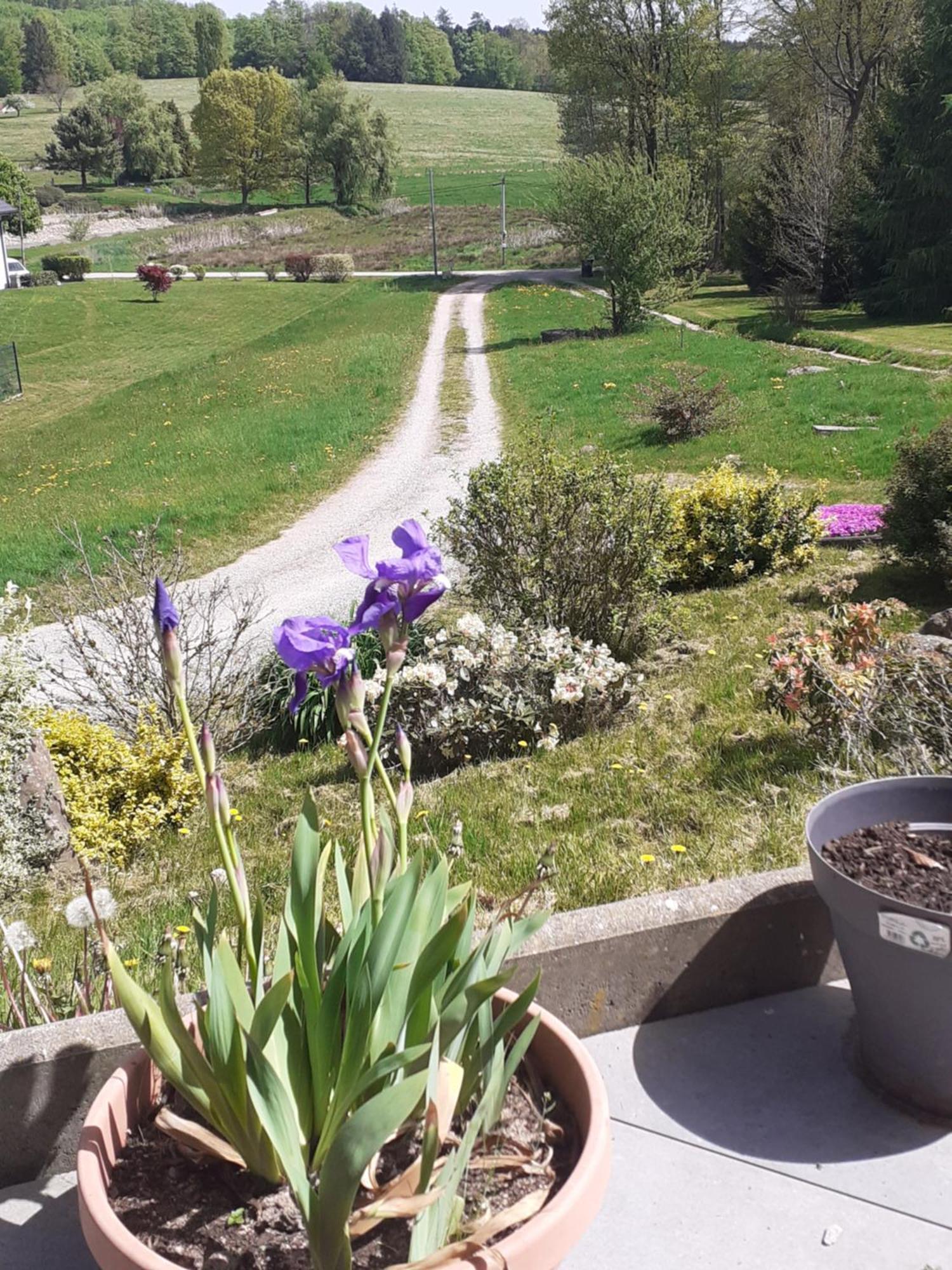 Bed and Breakfast Chez Papy Bellefontaine  Exterior foto